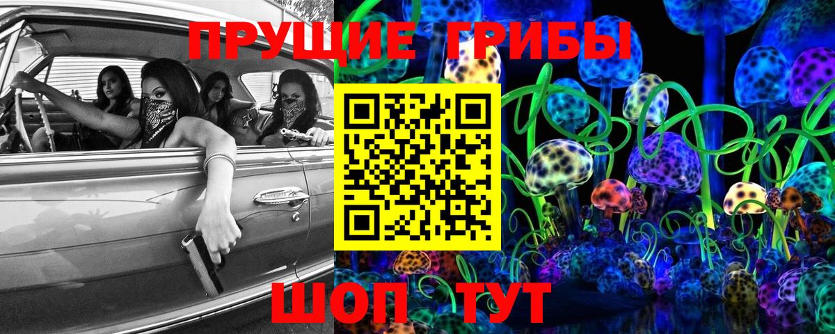 что такое наркотик  Вход с VPN  Дмитров  Галлюциногенные грибы GOLDEN TEACHER 